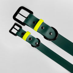 Set collar y correa LEMON JUNGLE - Il Can Atelier