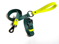 Set collar y correa LEMON JUNGLE - Il Can Atelier