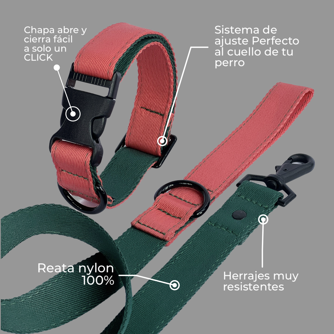 Set Collar y correa Bow wow - Il Can Atelier