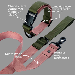Set Collar y correa Olive crush - Il Can Atelier