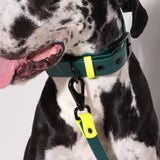 Set collar y correa LEMON JUNGLE - Il Can Atelier